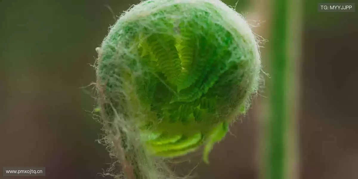 🔥 每一场赛事，都是热血的碰撞！立即加入，见证巅峰对决⚽️🏀